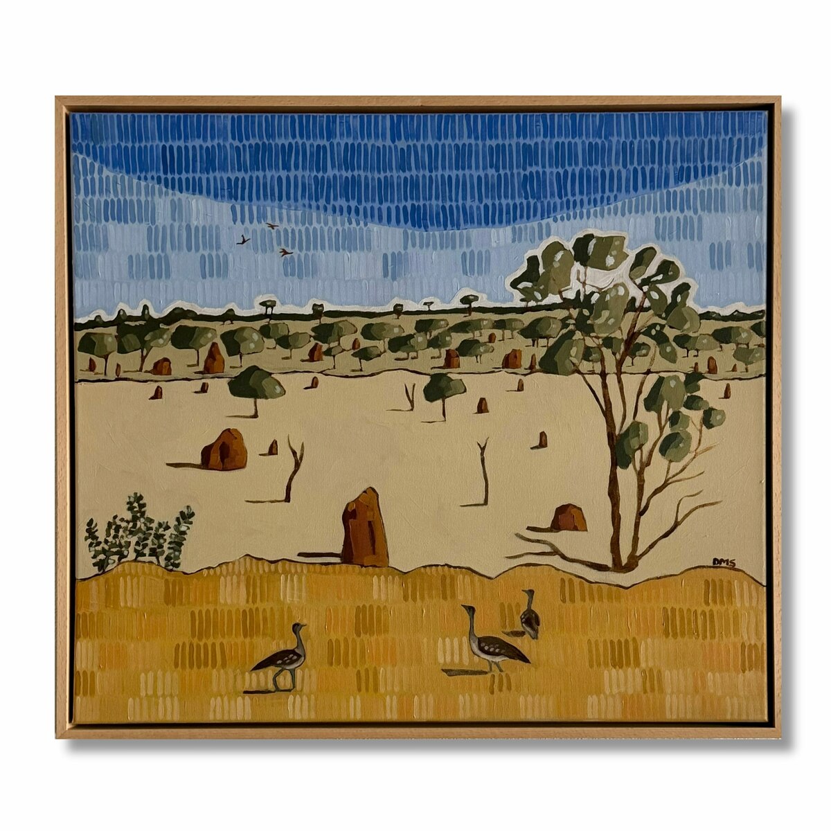 Barkly Tableland Termites