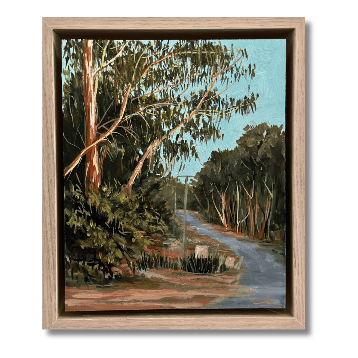 Forest Drive
