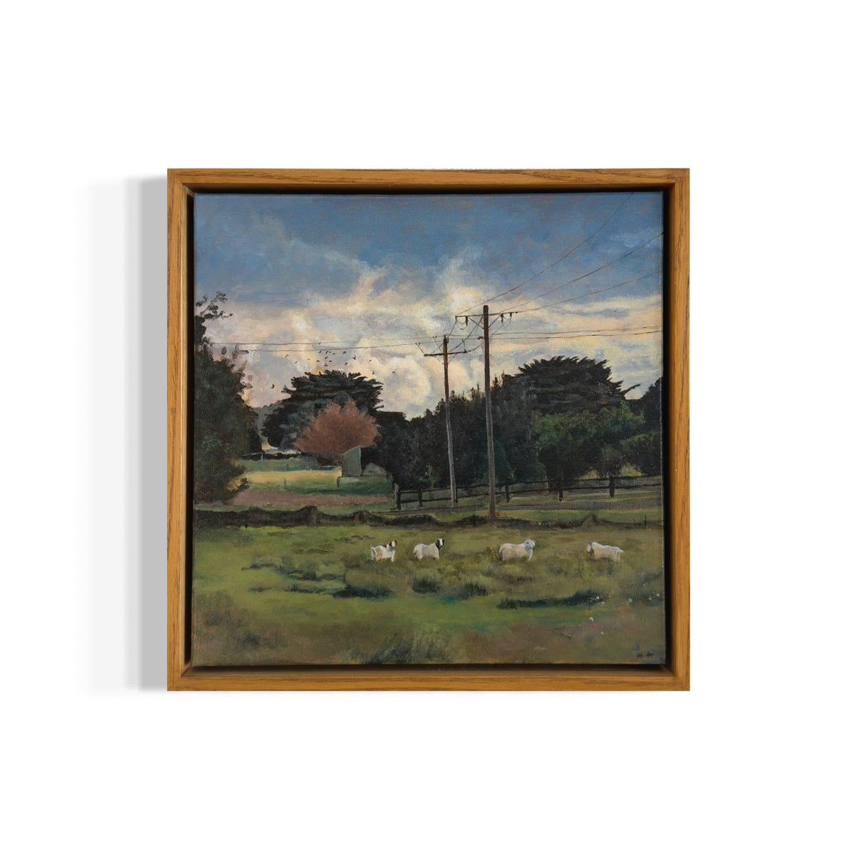 Fields of Belonging