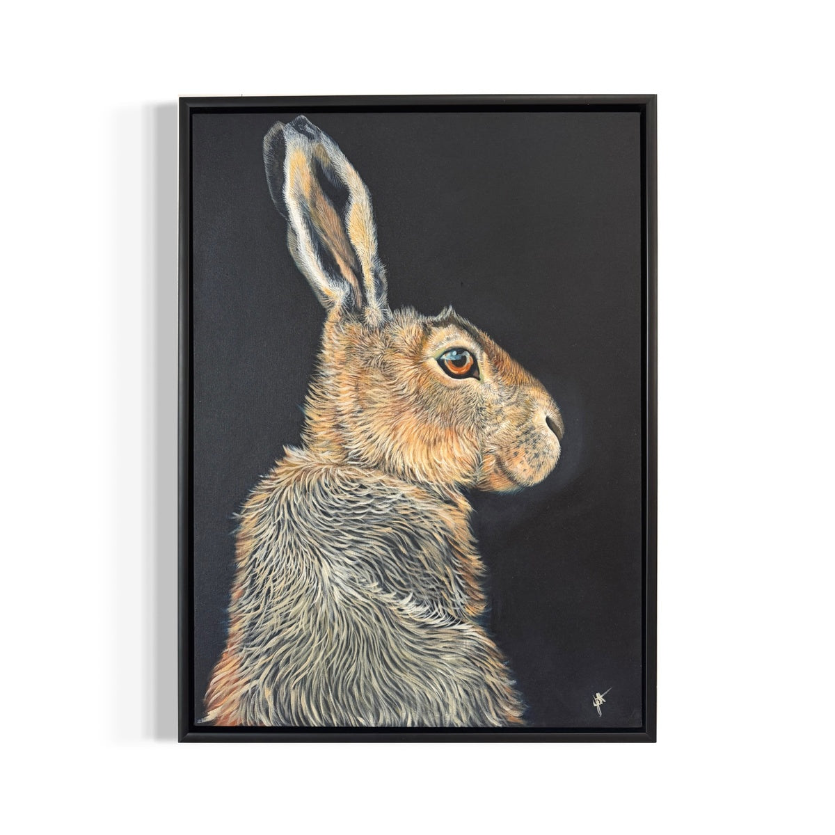 Wild Hare