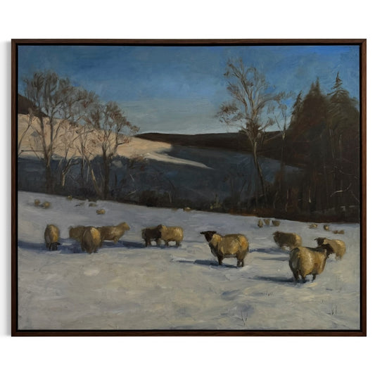 Sheep in the Snow