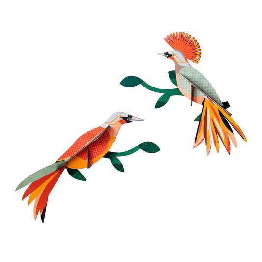 Wall Art Paradise Birds (B5) - Obi