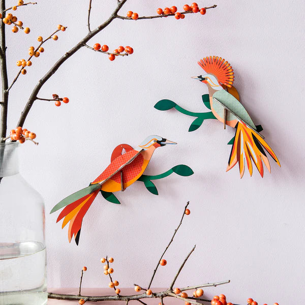Wall Art Paradise Birds (B5) - Obi