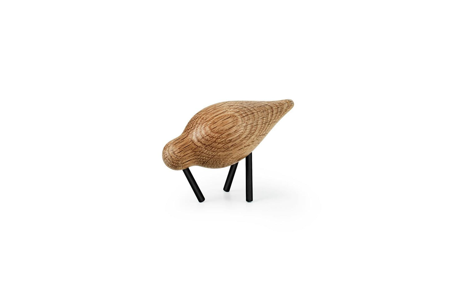 Shorebird Small