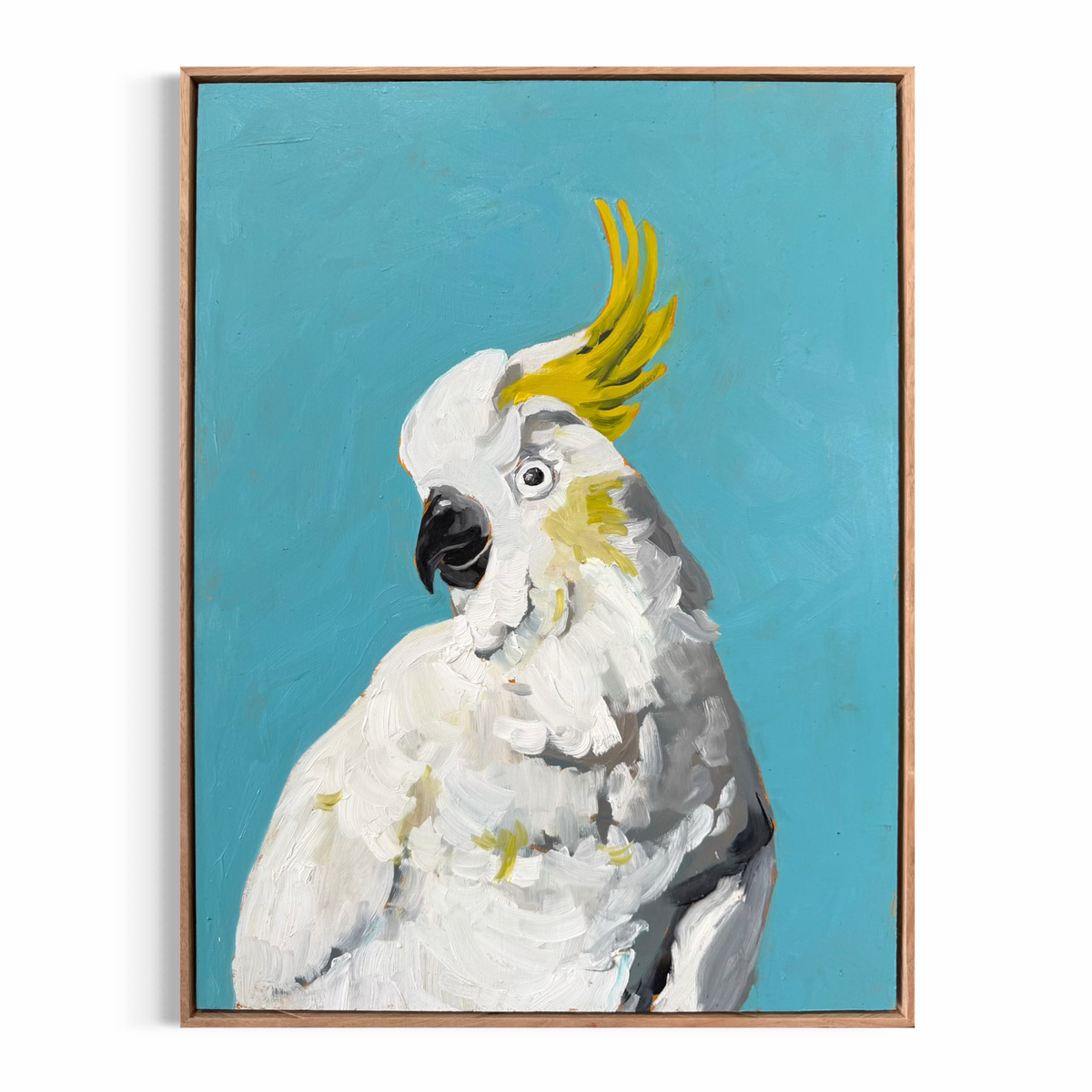 Cocky