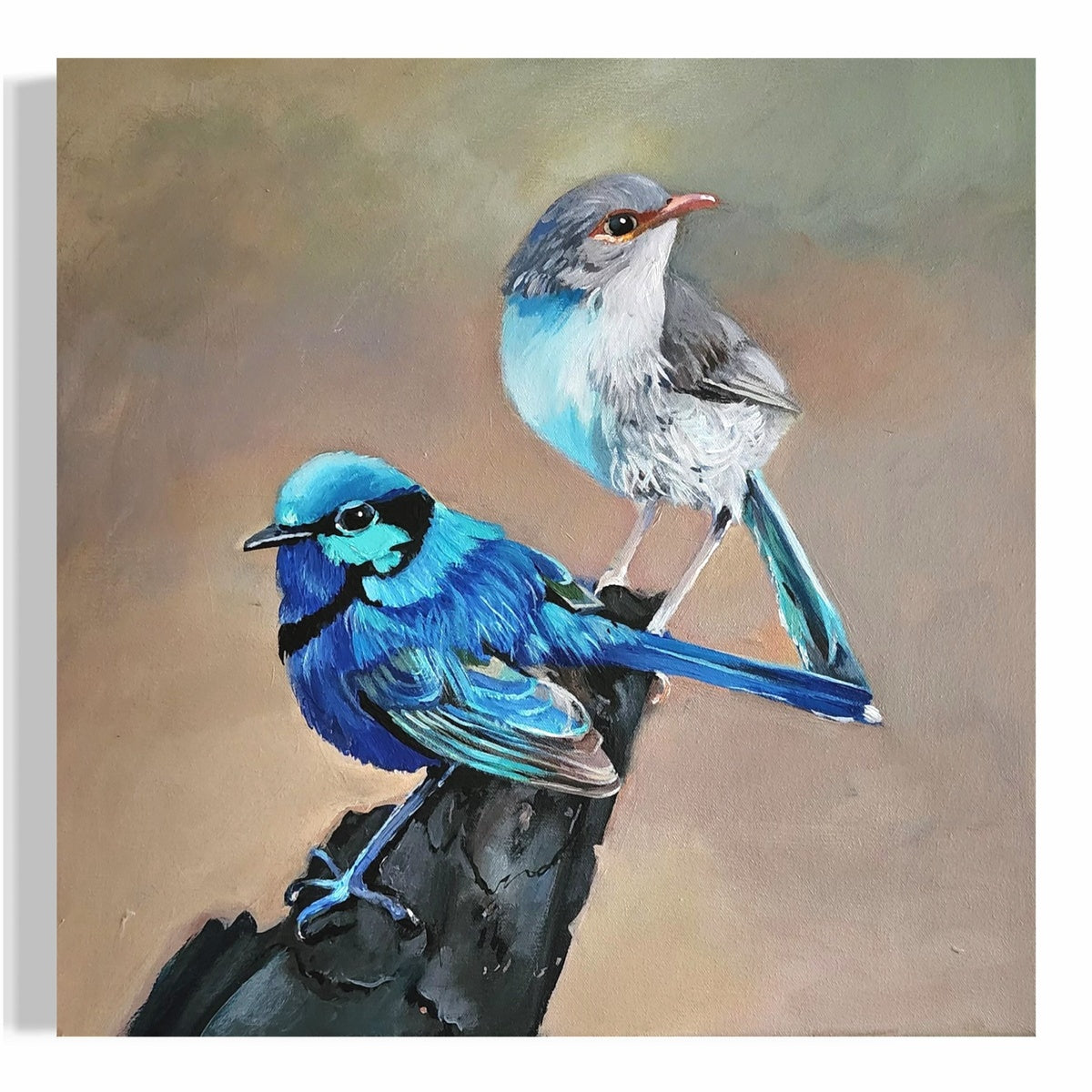 A Pair of Fairy Wrens No. 1