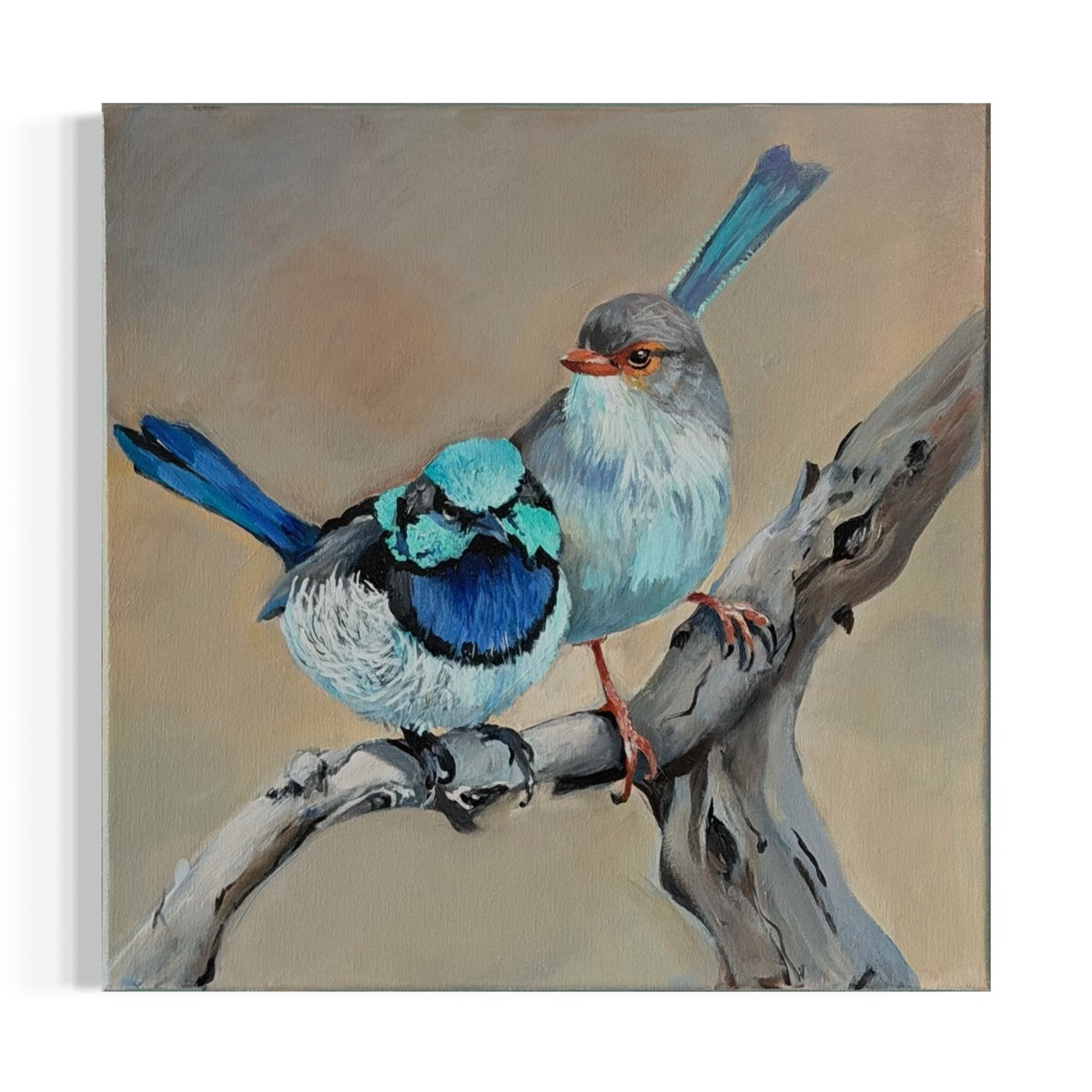 A Pair of Fairy Wrens No. 2