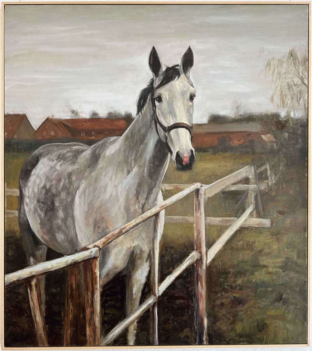 Dappled Horse