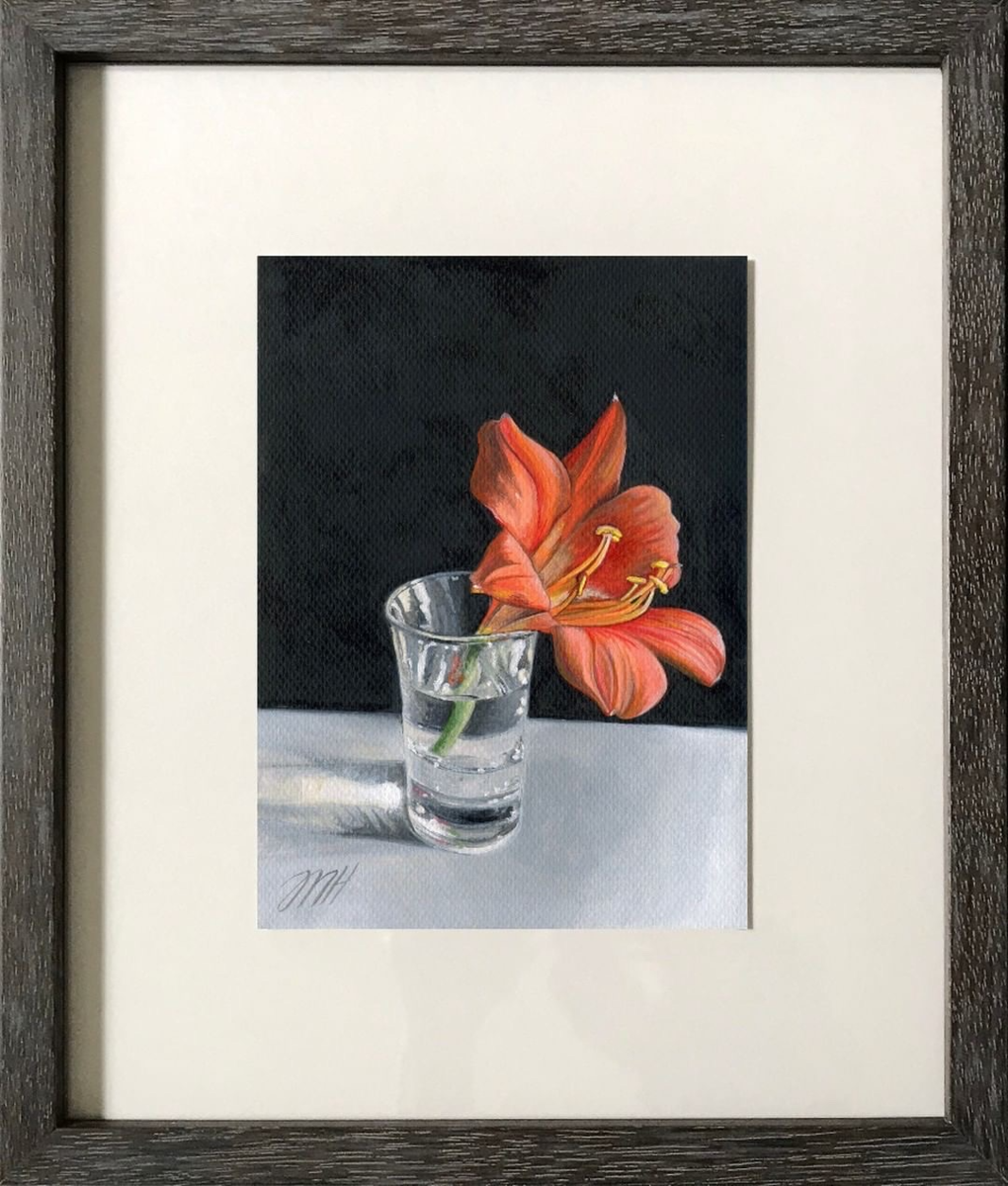 Clivia