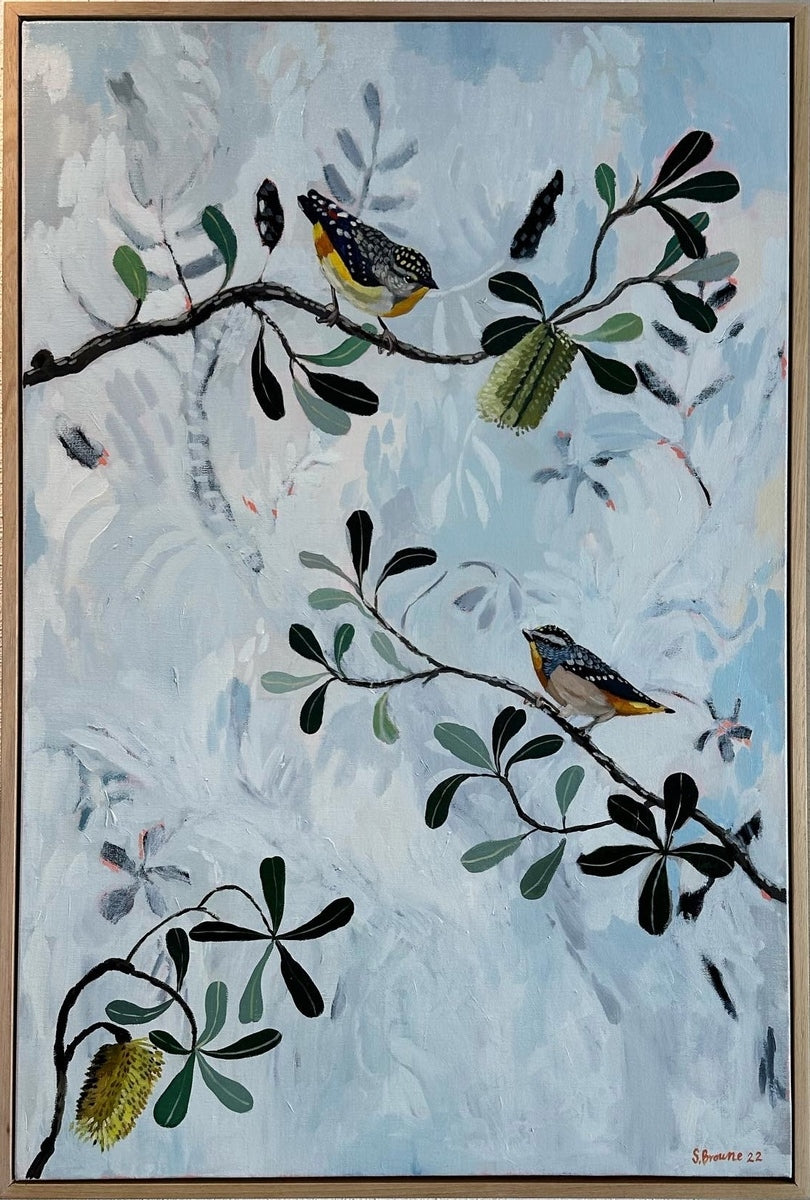 Pardalote Integrifolia