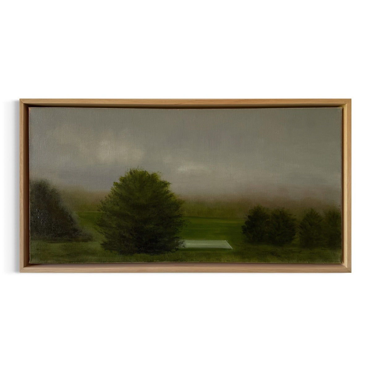The Pines
