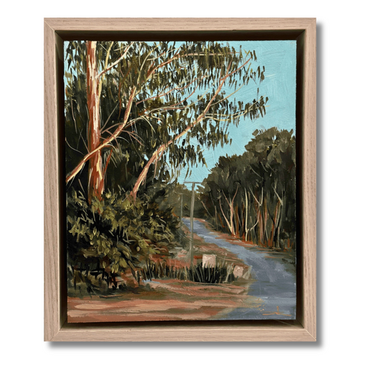 Forest Drive