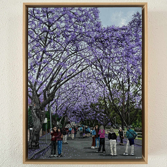 Jacarandas on McDougall