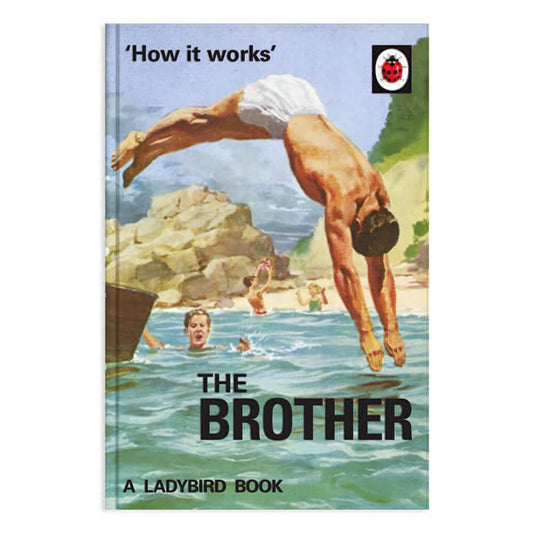 The Ladybird Book of The Brother