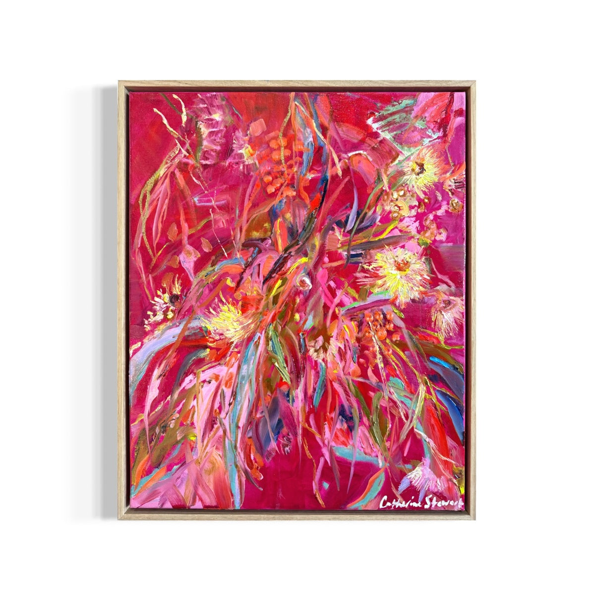 Flowering Gum - Magenta