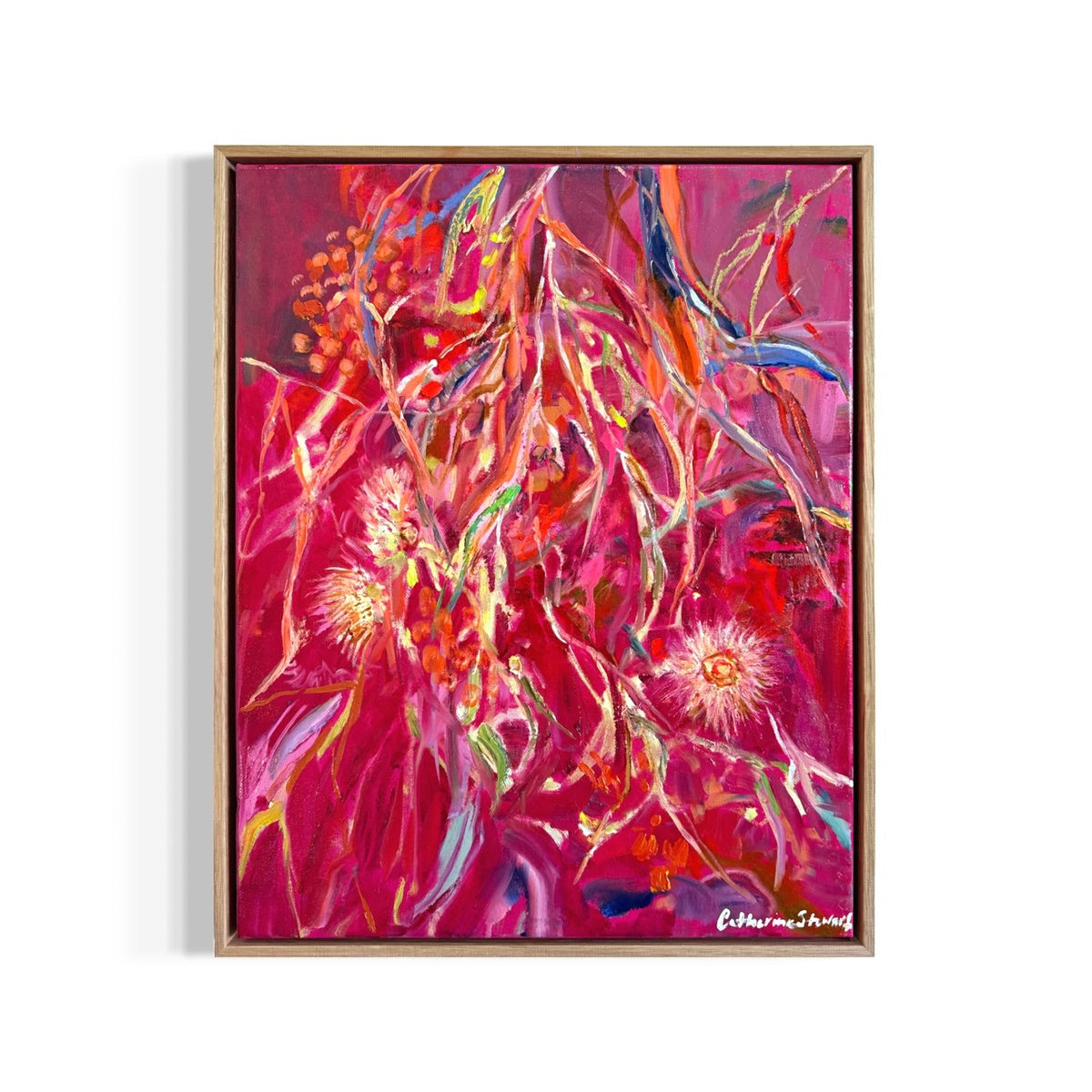 Flowering Gum - Magenta 2