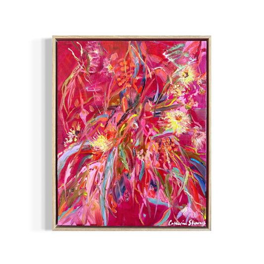 Flowering Gum - Magenta