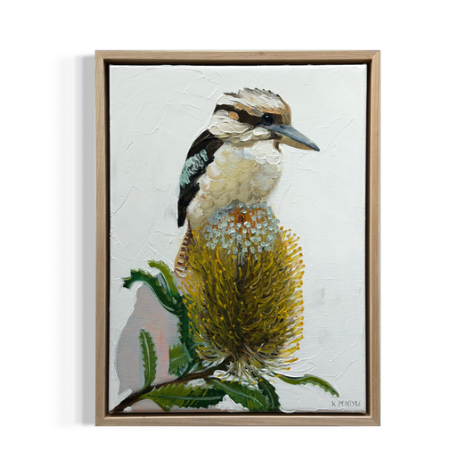 Banksia Kookaburra