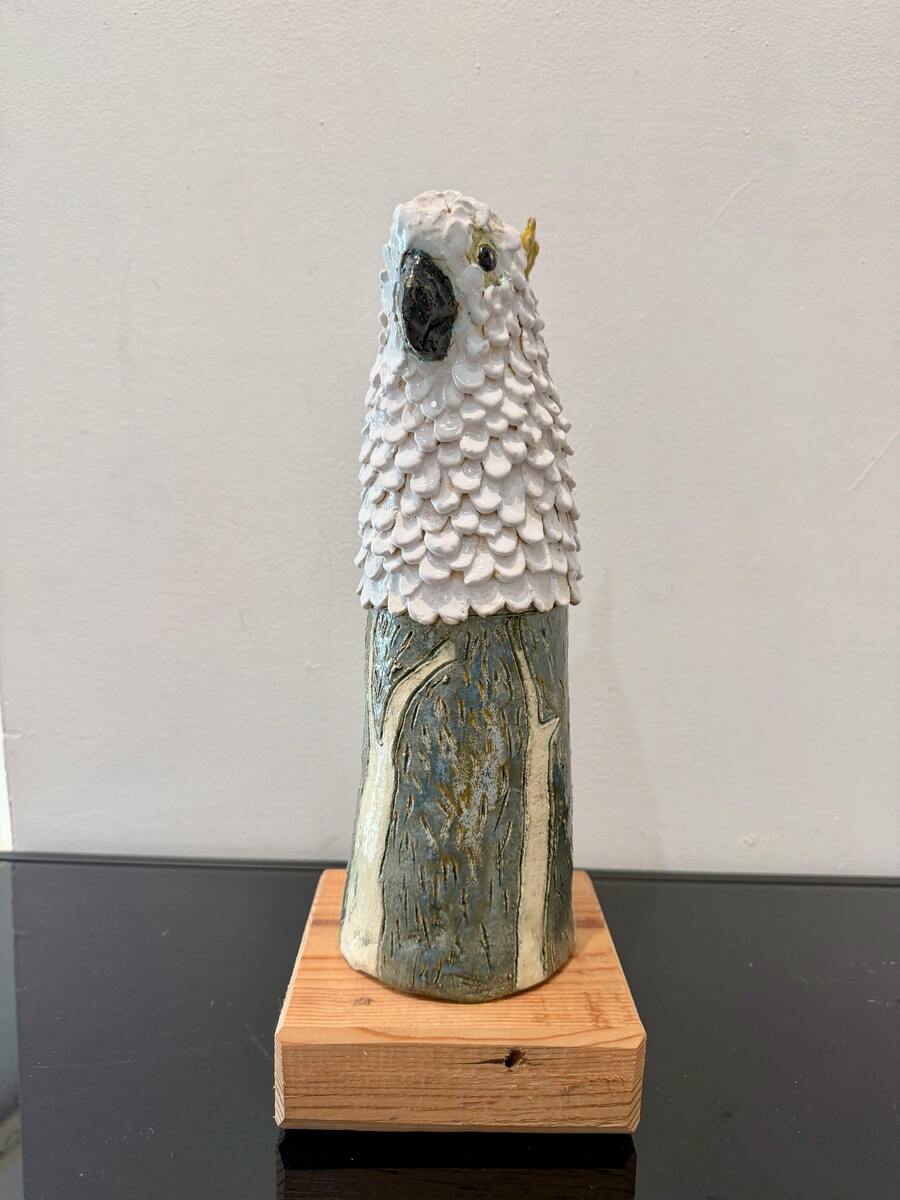 Single Ghost Gum Cocky