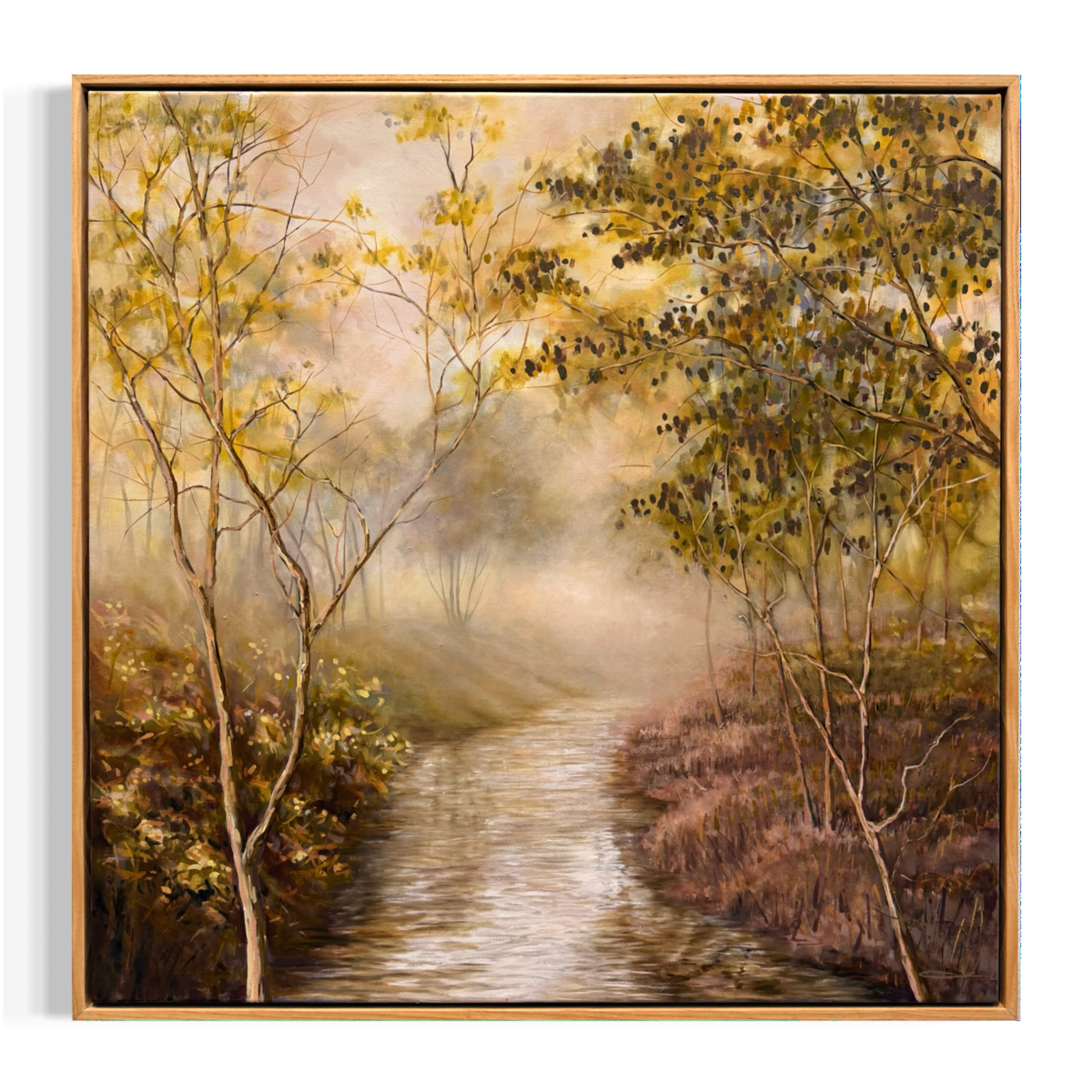 Quiet Reflections