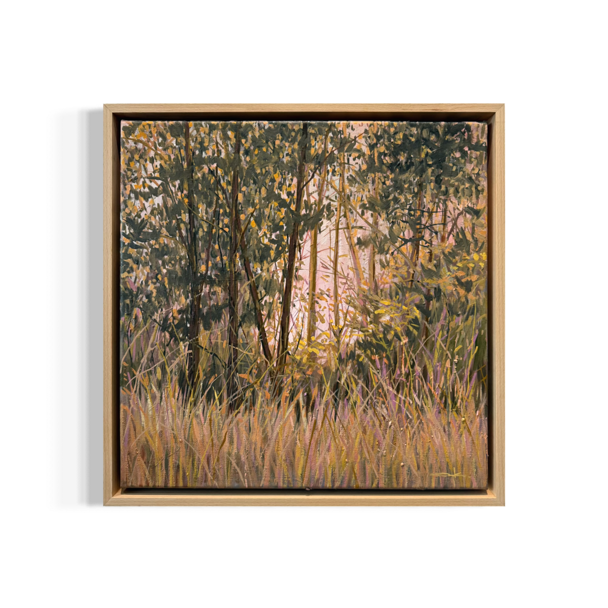 Bush Understory