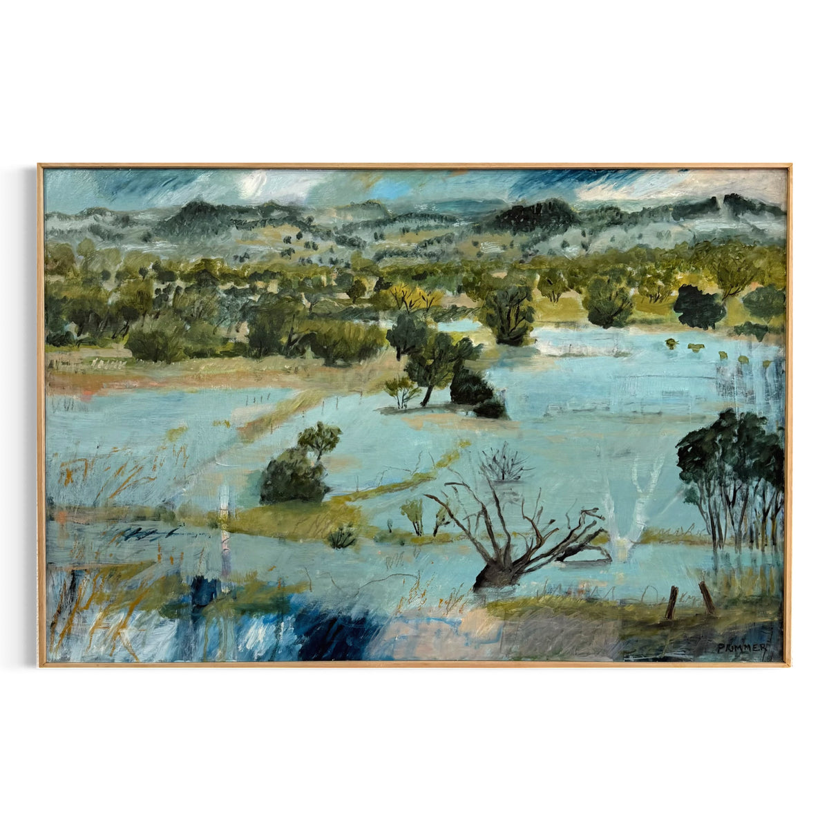 Receding Flood Waters