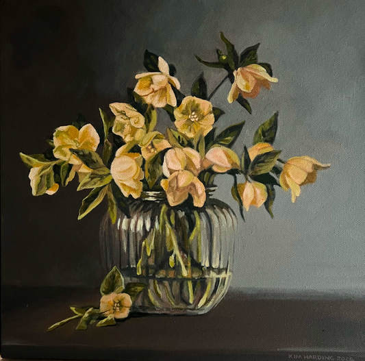 Hellebores