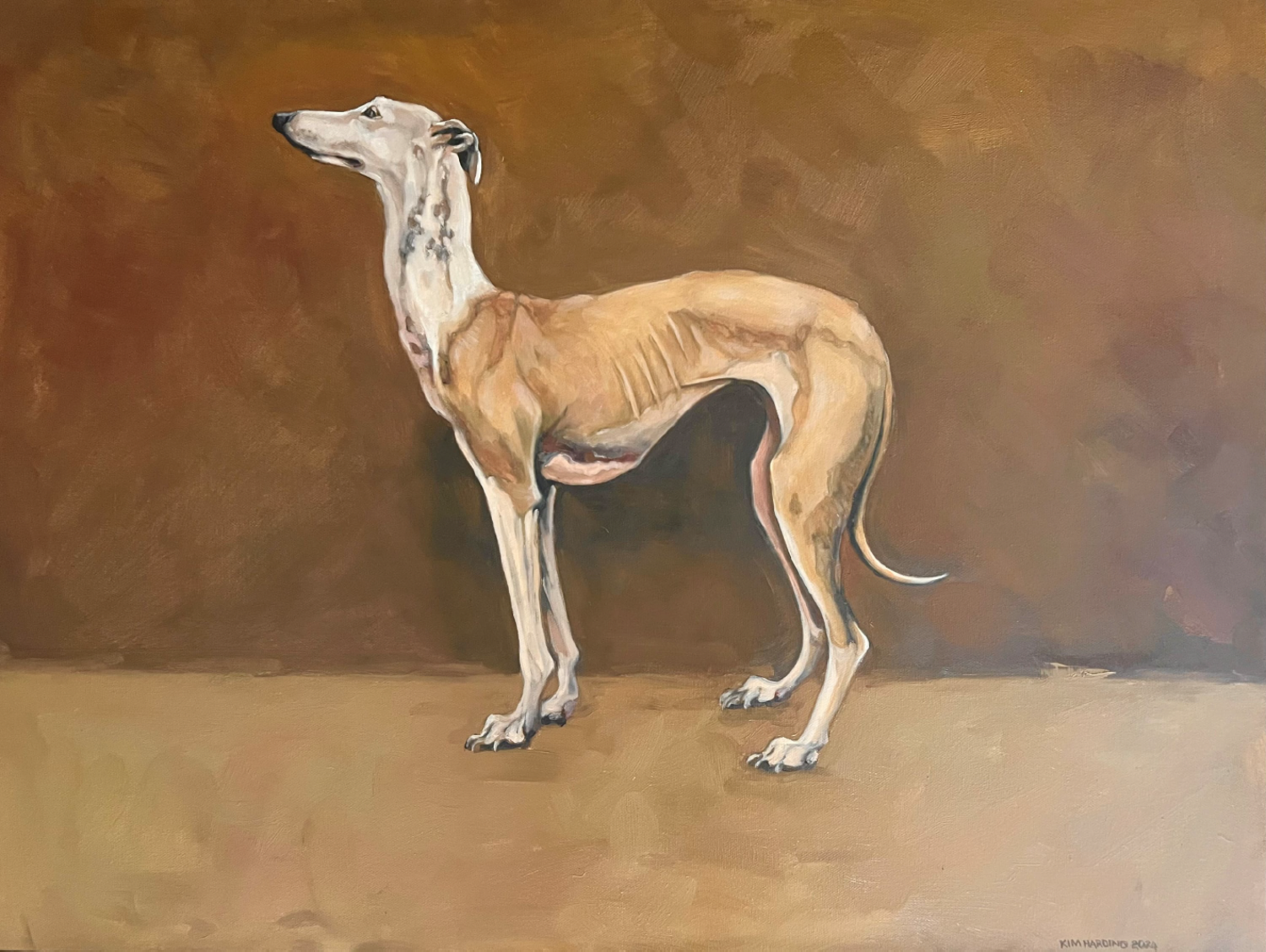 Greyhound on a Yellow Wall