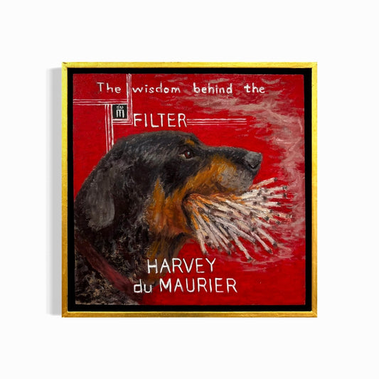 Harvey the Wisdom Behind the Filter