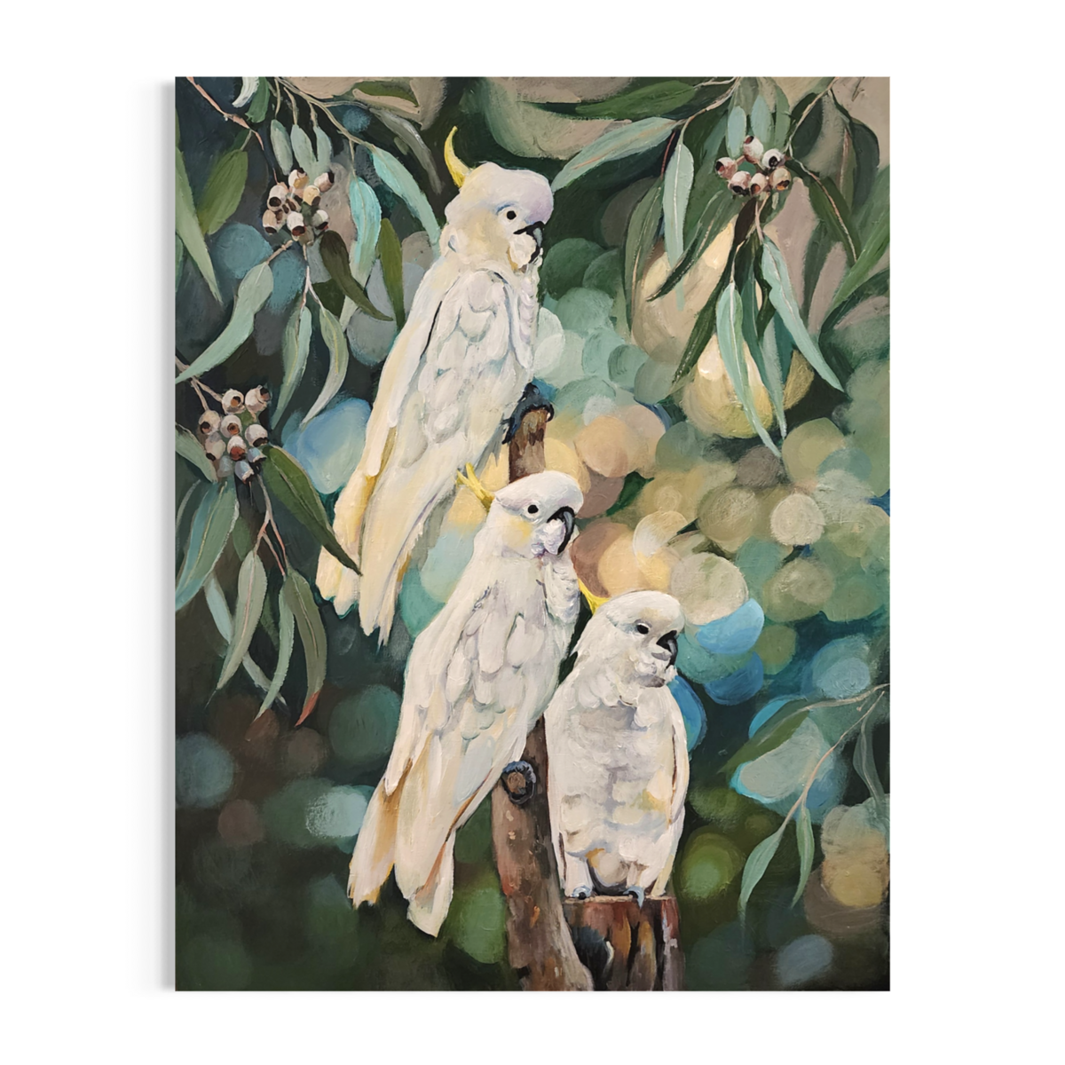 The Cockatoo Gathering