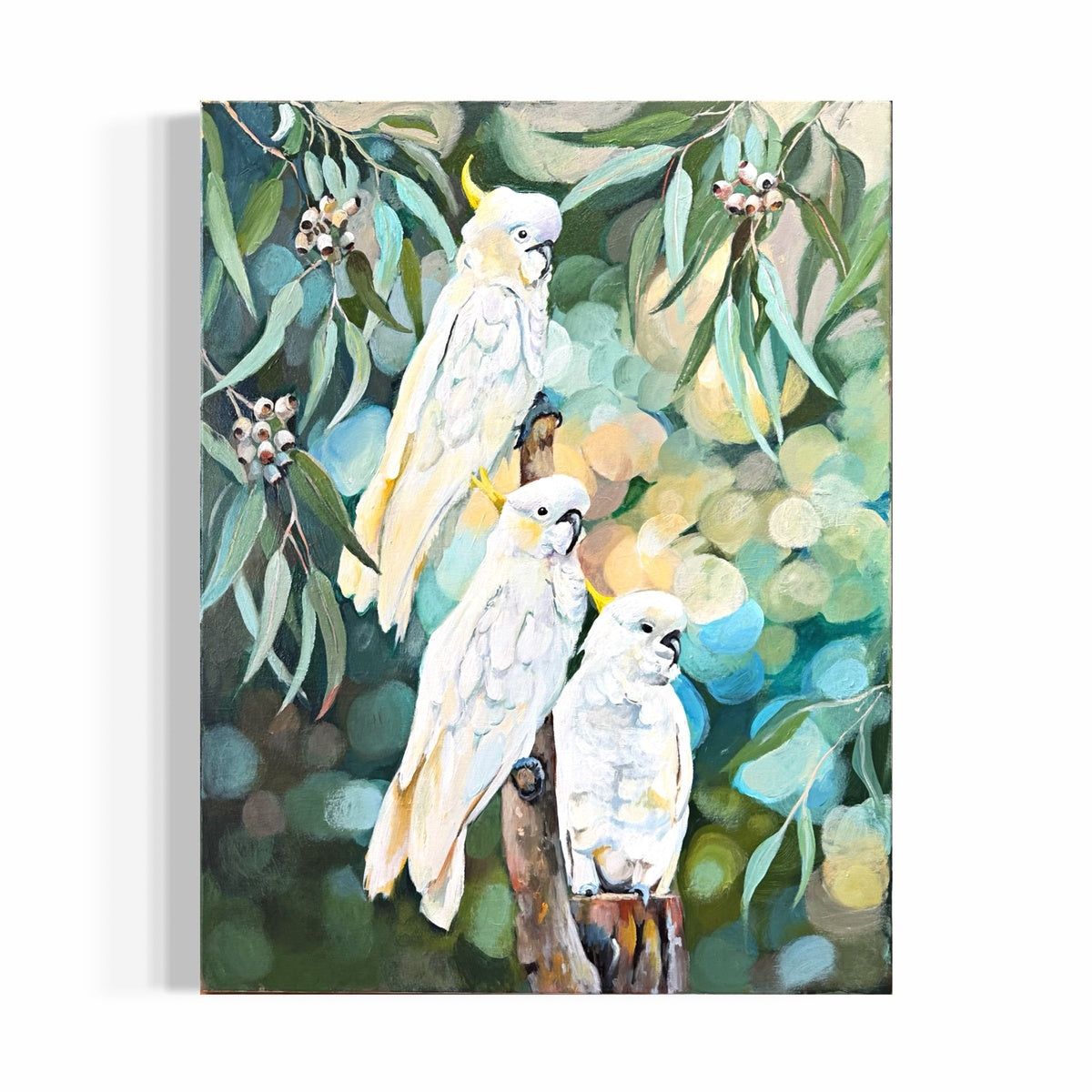 The Cockatoo Gathering