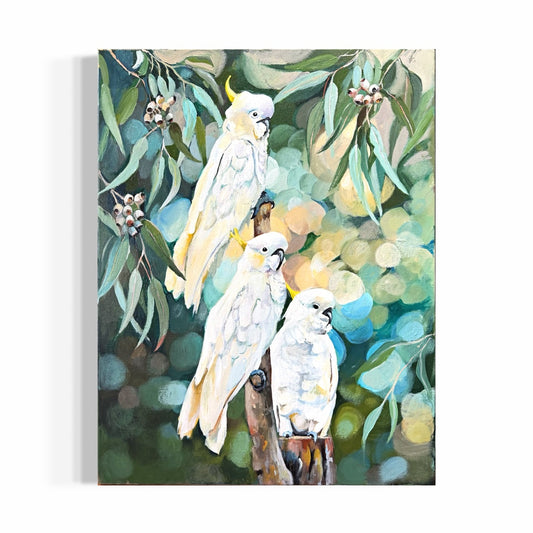 The Cockatoo Gathering
