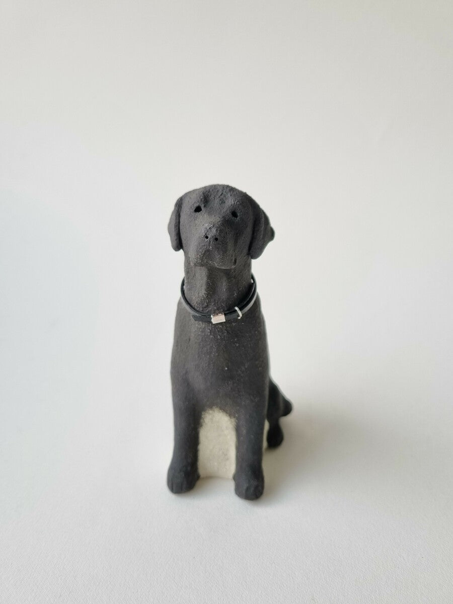 Black Labrador – Satch & Co Gallery