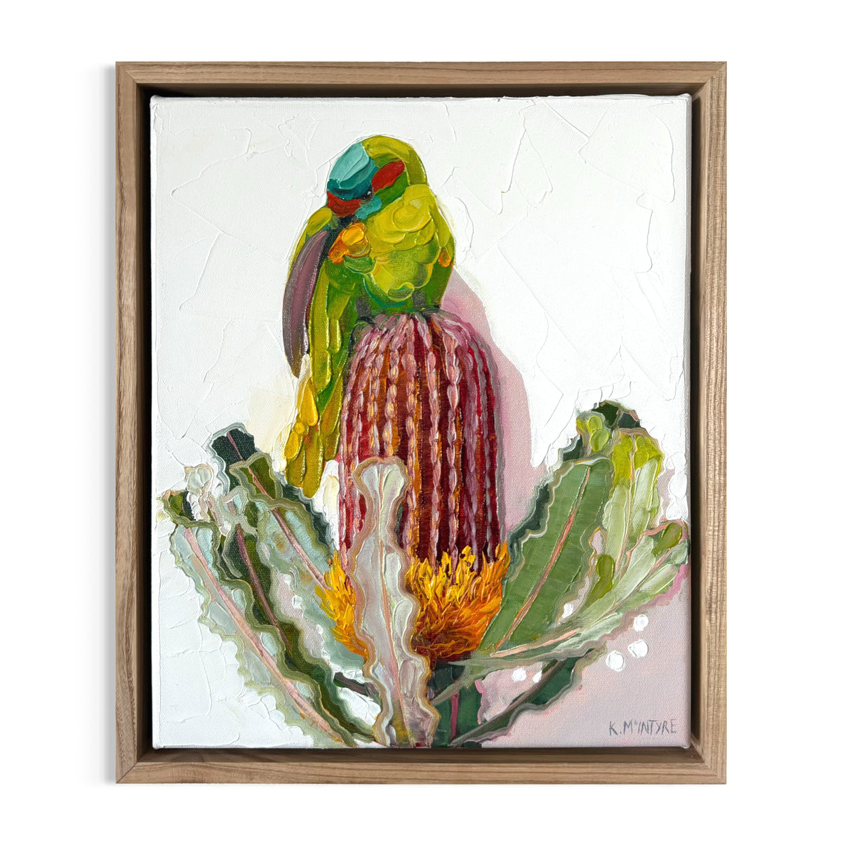 Musk Lorikeet With Banksia