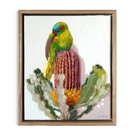 Musk Lorikeet With Banksia
