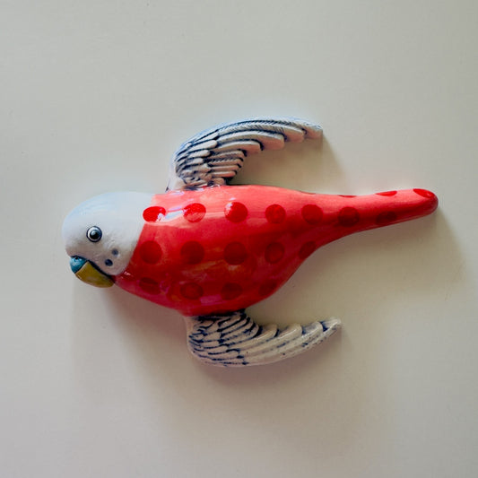 Red Polka Dot Budgie