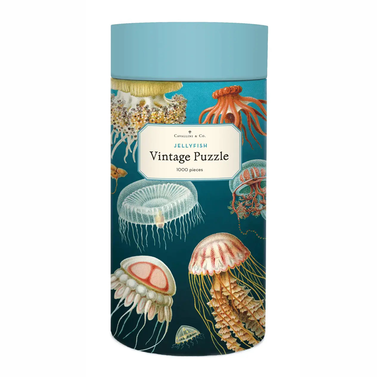 Cavallini - 1000 Pc Puzzle Jellyfish