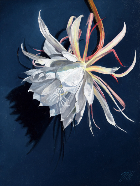 Dreamscapes