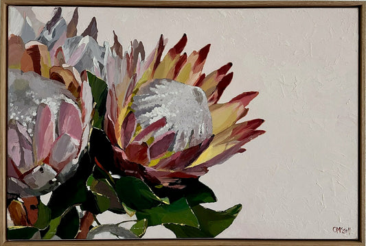 Protea #1